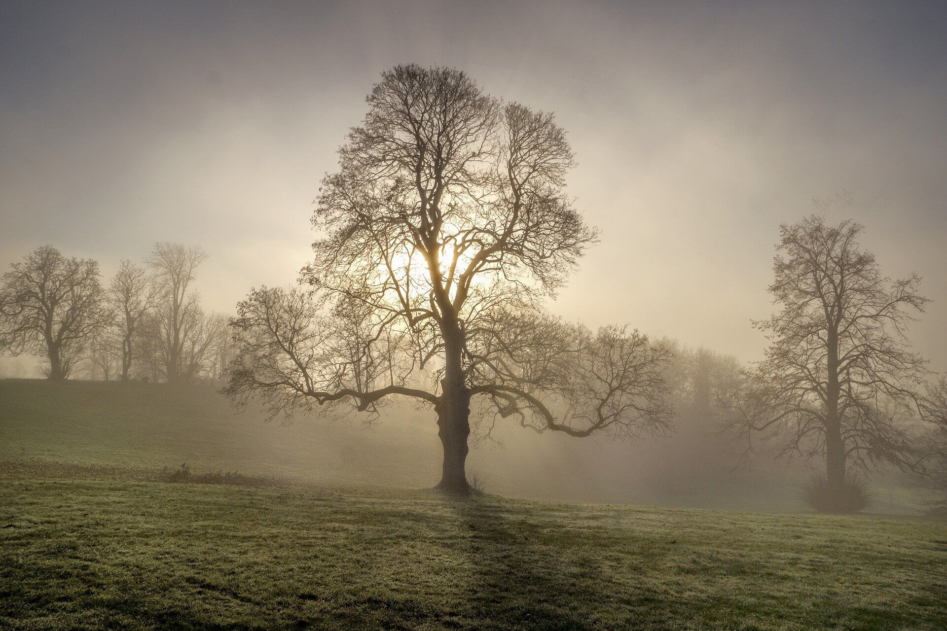 DependencyManagement 和 Dependencies